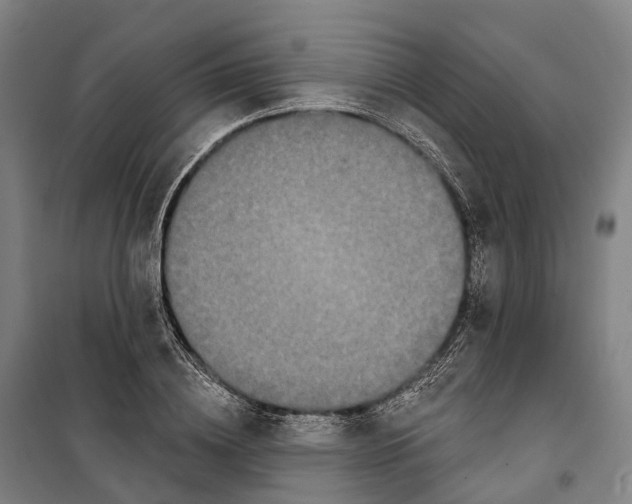 X0000099560836200806061538