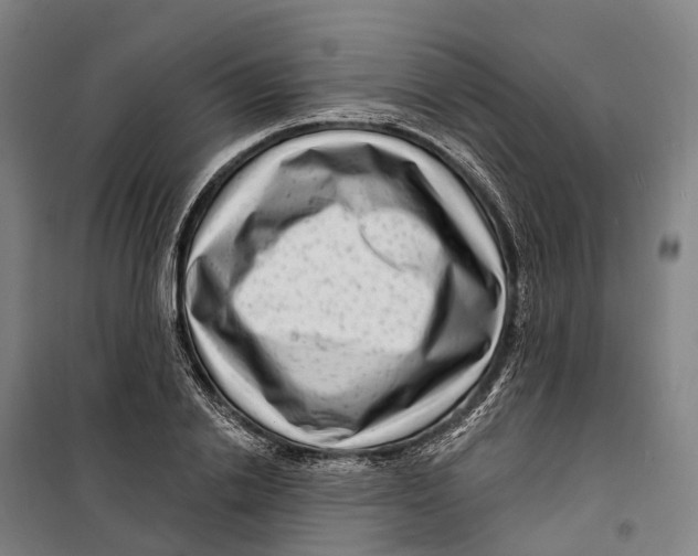 X0000099560838200806061538