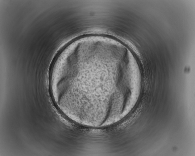 X0000099560839200806061538