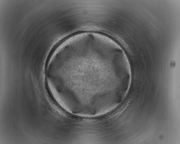 X0000099560840200806061538