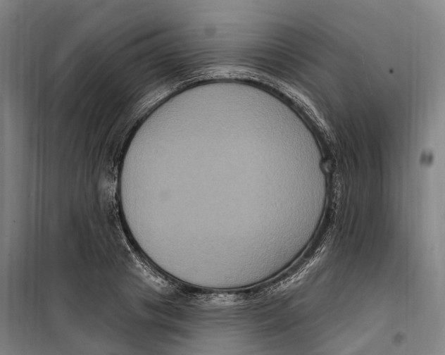 X0000099560841200806061538