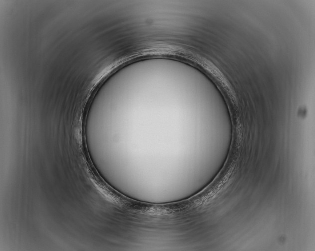 X0000099560842200806061538