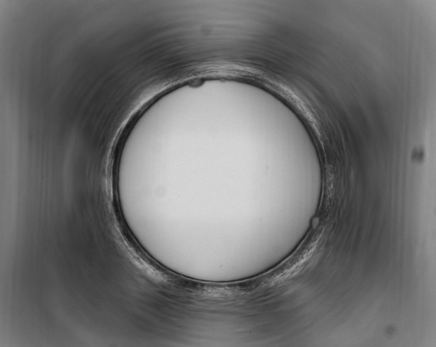 X0000099560843200806061538