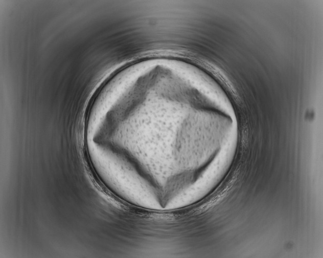 X0000099560844200806061538