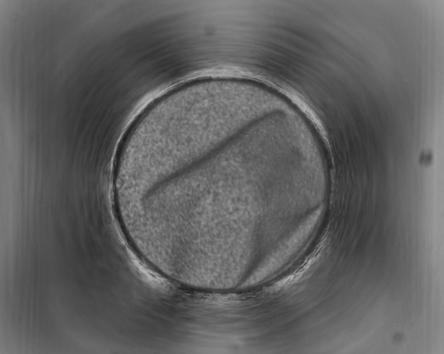 X0000099560845200806061538