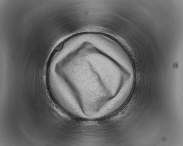 X0000099560846200806061538