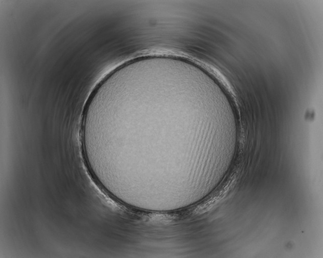 X0000099560847200806061538