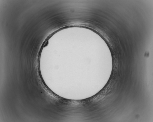 X0000099560848200806061538