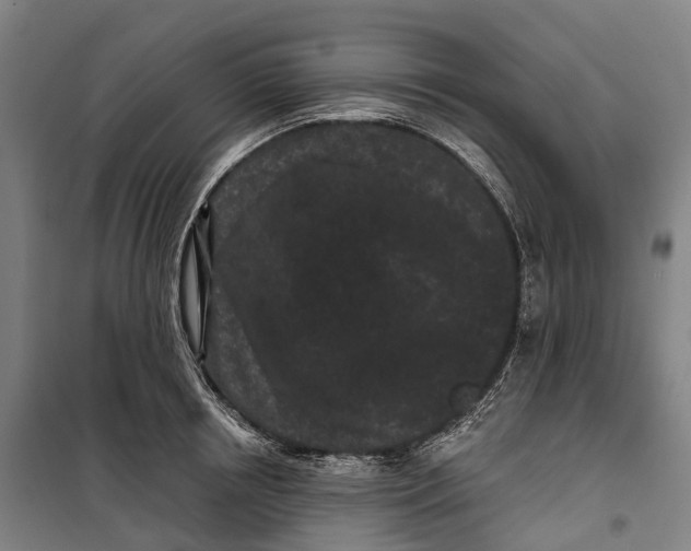 X0000099560850200806061538