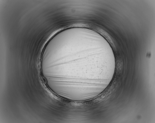 X0000099560852200806061538