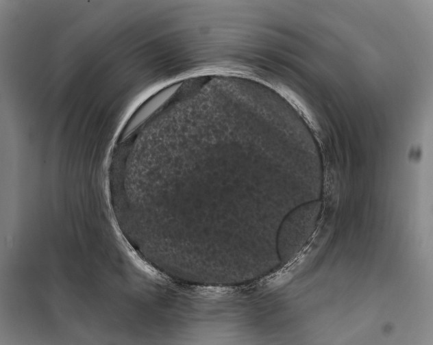 X0000099560854200806061538