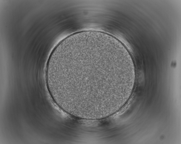 X0000099560856200806061538