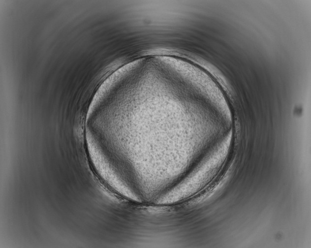 X0000099560857200806061538