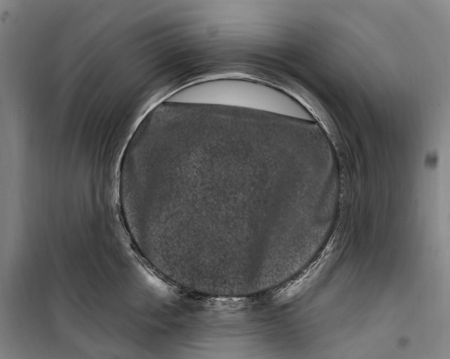 X0000099560858200806061538