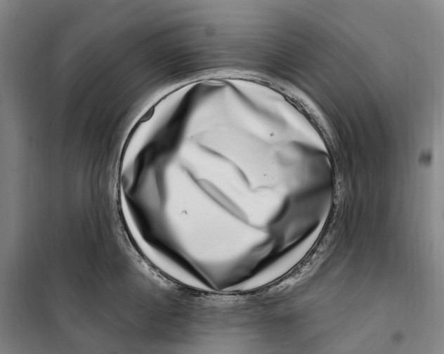 X0000099560860200806061538