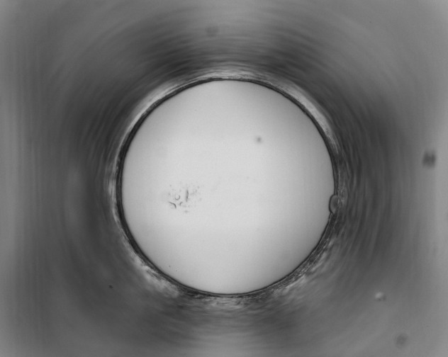 X0000099560861200806061538