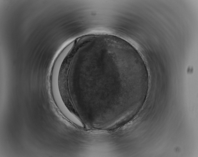 X0000099560864200806061538