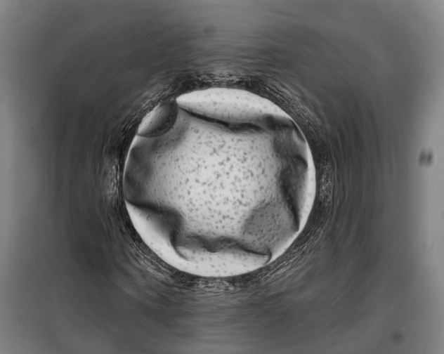 X0000099560866200806061537