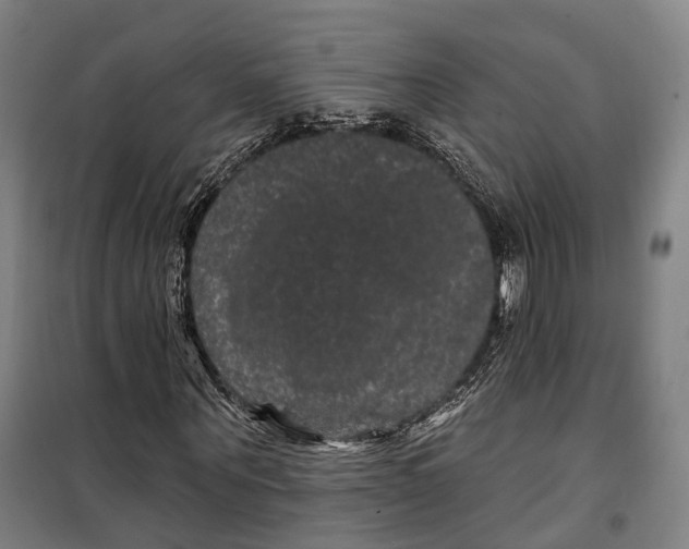 X0000099560867200806061537