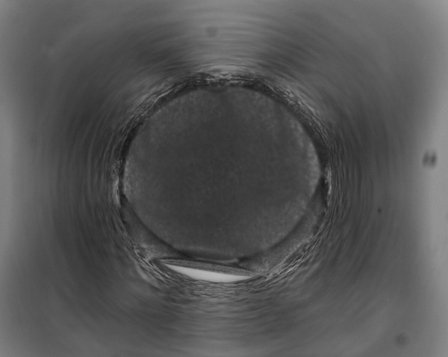 X0000099560868200806061537