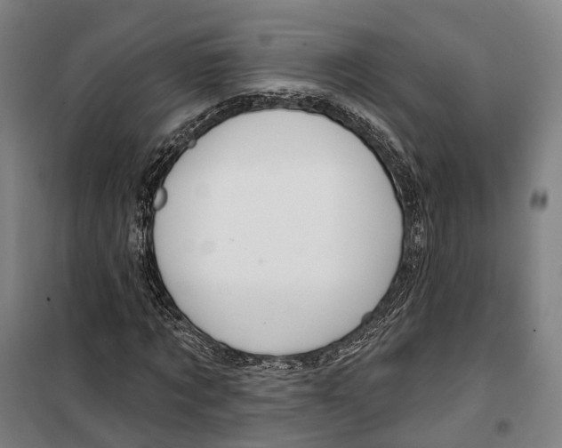 X0000099560869200806061537