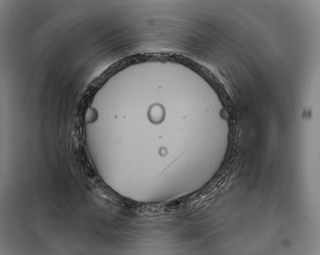 X0000099560871200806061537