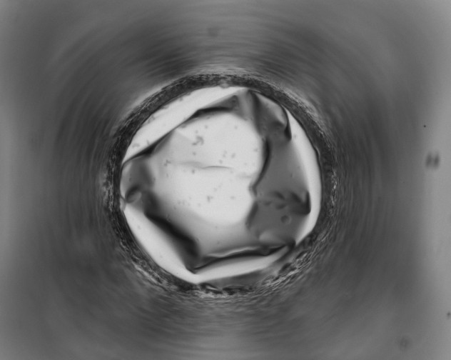 X0000099560872200806061537