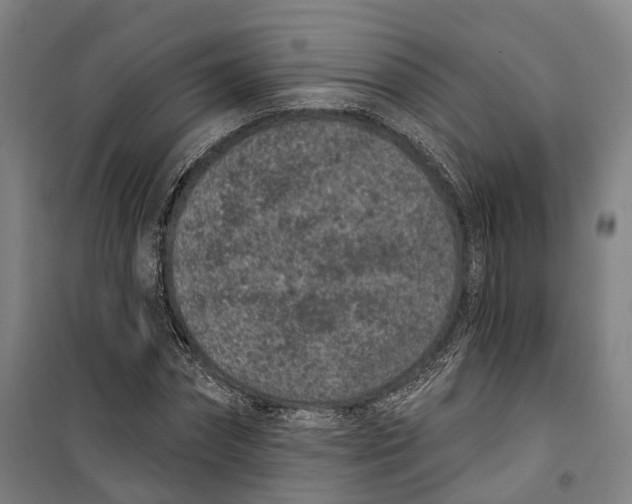 X0000099560874200806061537