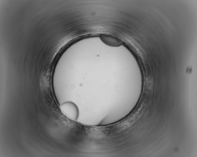 X0000099560875200806061537