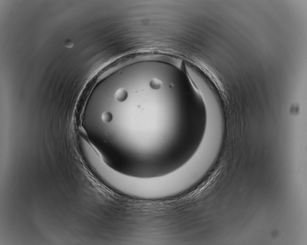 X0000099560876200806061537