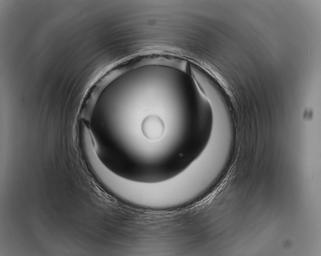 X0000099560877200806061537