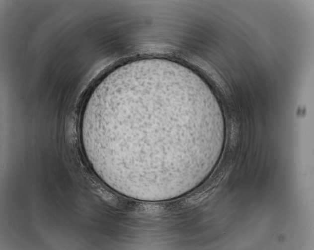 X0000099560878200806061537