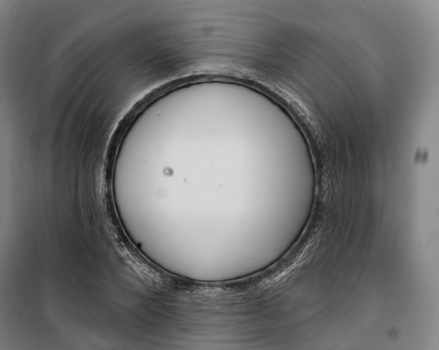 X0000099560880200806061537