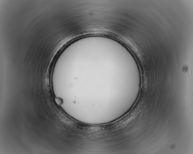 X0000099560883200806061537