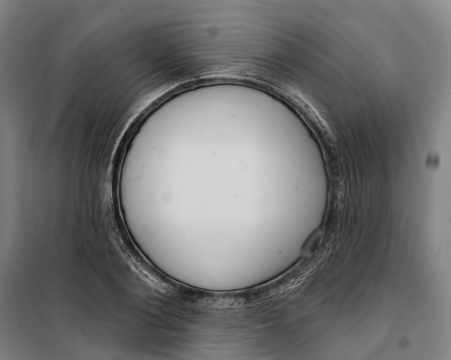 X0000099560884200806061537