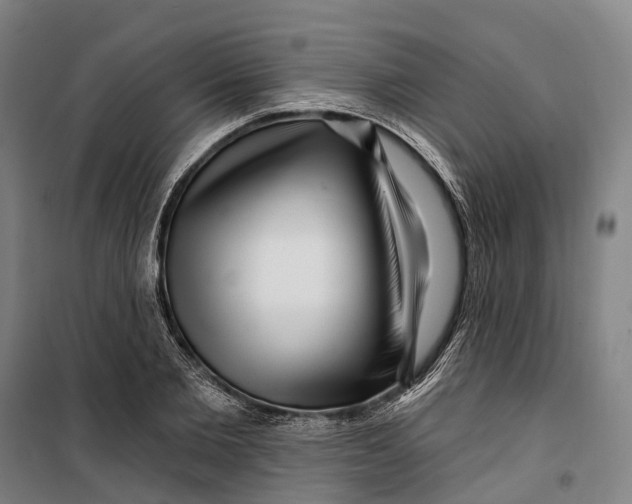 X0000099560885200806061537