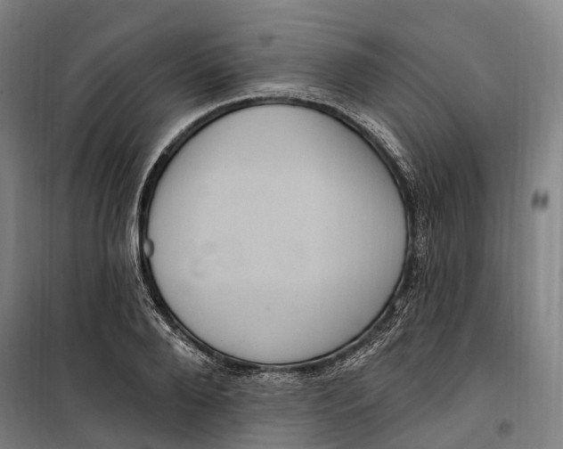 X0000099560888200806061537