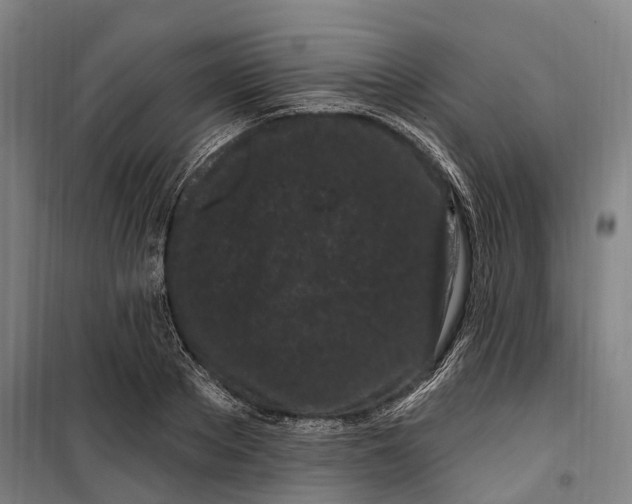 X0000099560889200806061537