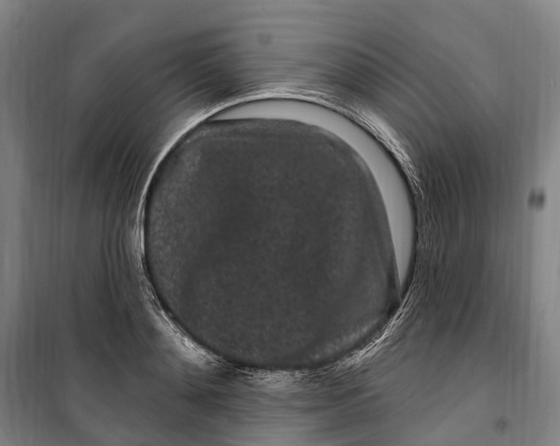 X0000099560892200806061537