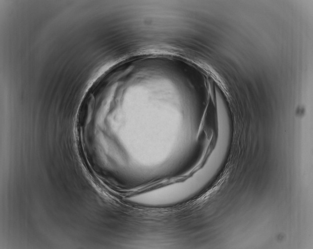 X0000099560893200806061537