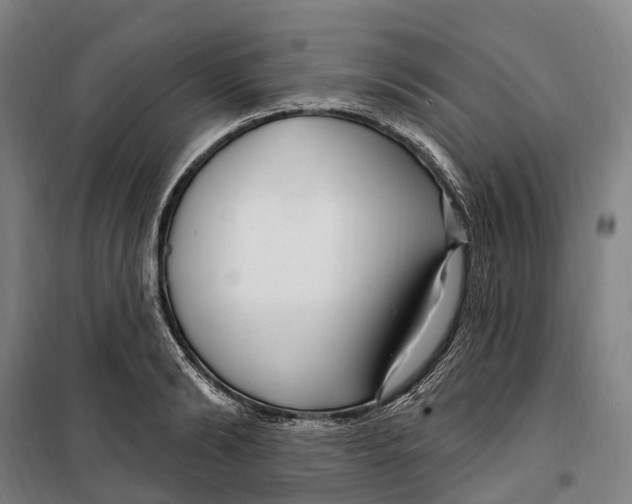 X0000099560894200806061537