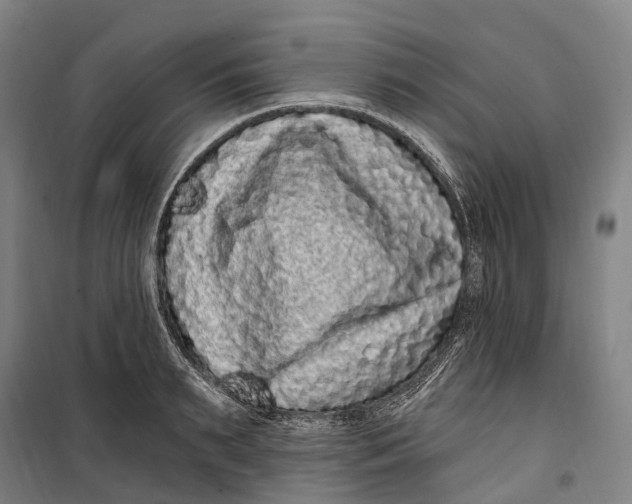 X0000099560895200806061537