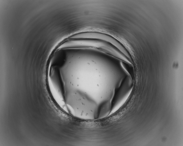 X0000099560896200806061537