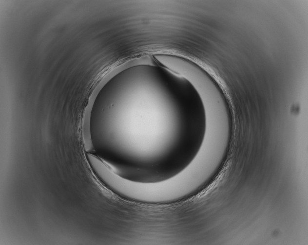 X0000099560897200806061537