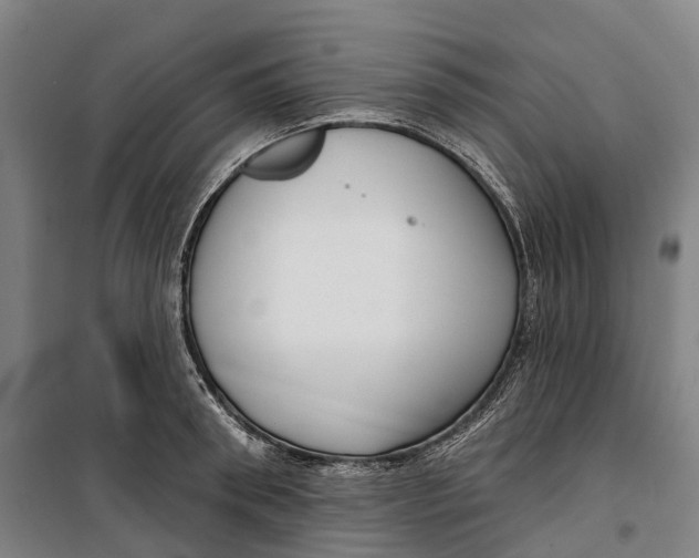 X0000099560898200806061537