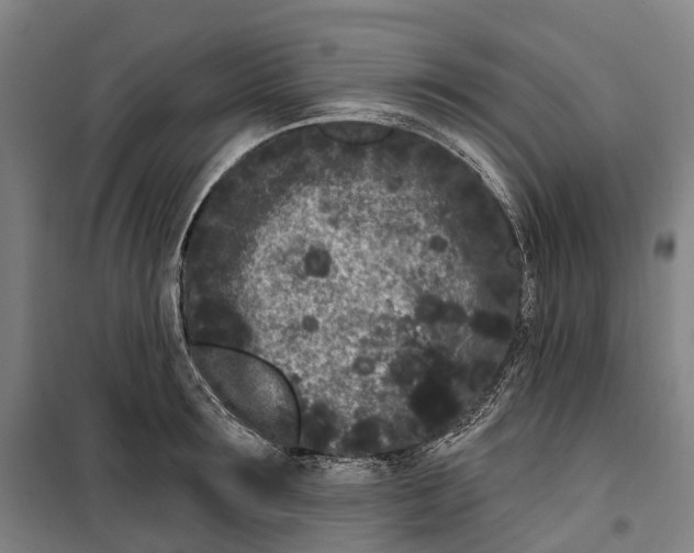 X0000099560899200806061537