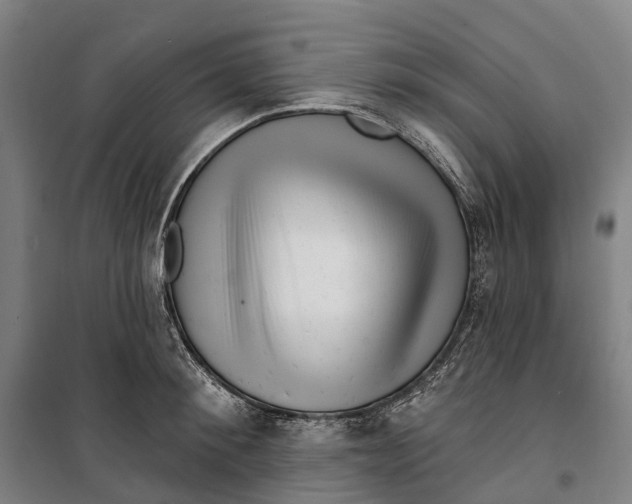 X0000099560900200806061537