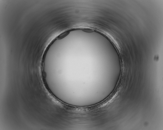 X0000099560901200806061537