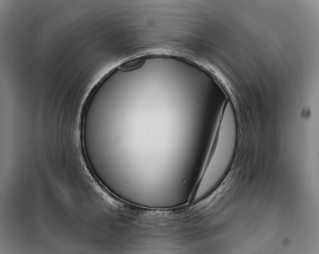 X0000099560902200806061537