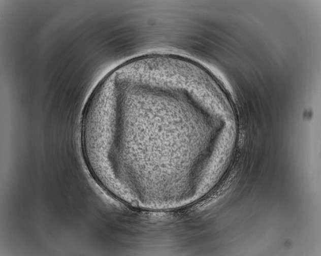 X0000099560903200806061537